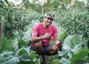 Jadi Inspirasi Tim IPDMIP, Begini Potret Desa Gobleg di Bali