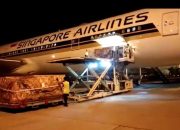 Indonesia Ekspor Telur Tetas ke Myanmar