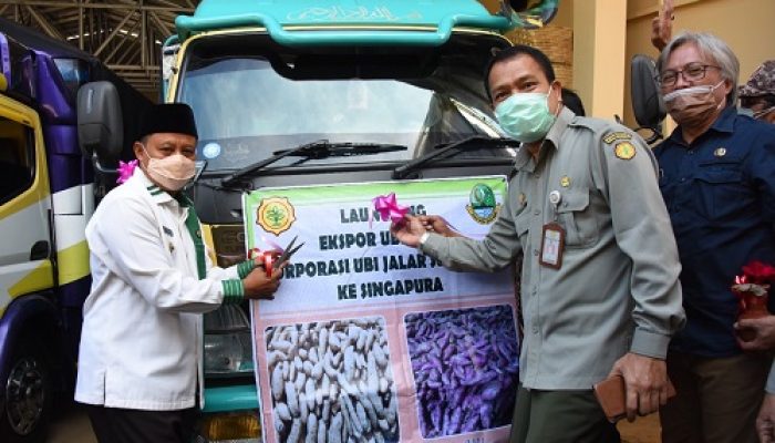 Wagub Jawa Barat Kawal Ekspor Ubi Jalar ke Singapura