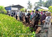 Cross Village Visits, Inovasi Metode Penyuluhan Berbasis Partisipasi Aktif Petani