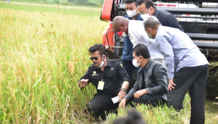 Mentan SYL Salurkan Bantuan Senilai Rp 19,43 Miliar untuk Petani Merauke