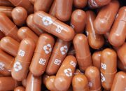Indonesia Akan Terima Obat COVID-19 Akhir Tahun Ini