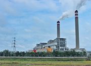 PLN Dukung Pemerintah Tentang Pengenaan Pajak Karbon
