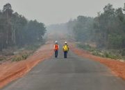 Jalan Trans Papua Tembus Sepanjang 3.446 km