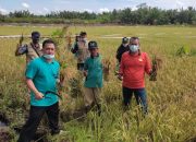 SDM Petani Kalbar Meningkat, Mentan SYL: Sekolah Lapang Punya Peran Strategis