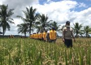 PPL Swadaya Punya Peran Tingkatkan Kesejahteraan Petani