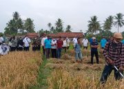 Pelatihan Penggunaan Alsintan Sejahterakan Petani