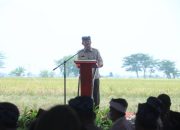 HPS ke 41, FAO Apresiasi Capaian Pembagunan Pertanian di Masa Pandemi