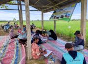 Dampak Sekolah Lapang Terasa, Produktivitas Petani Pasaman Meningkat