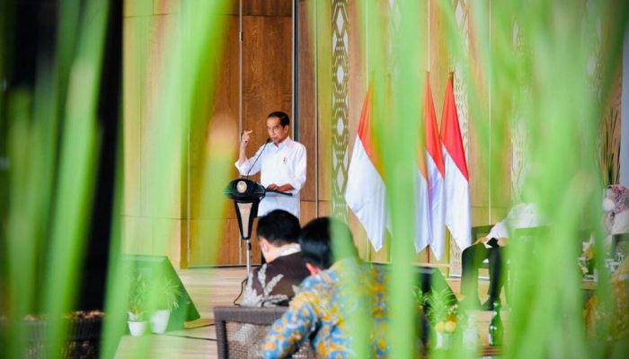 Presiden Jokowi Inginkan BUMN Adaptasi Teknologi Agar Go Global
