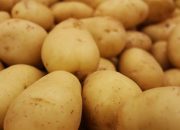 Jaga Ketersediaan dan Stok Pangan, NFA Ajak Masyarakat Ubah Budaya Konsumsi ke Pangan Lokal