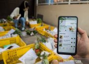 Geliat Bisnis Online di Masa Pandemi Terus Meningkat