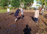 Sekolah Lapang Bantu Petani Kubu Raya Tingkatkan Produktivitas