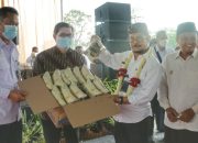 Olahan Kentang Medians Tembus Pasar Amerika dan Cina