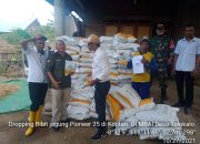 Musim Hujan Datang, Petani Jagung Dompu Optimis Panennya Maksimal