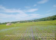 Kegiatan Demfarm Bantu Petani NTT Tingkatkan Produktivitas