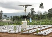 Balitbangtan Kenalkan Irigasi Otomatis Berbasis IoT di Food Estate Wonosobo