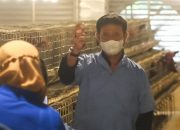 Mentan SYL Melepas Ekspor Telur Tetas dan Ajak Kembangkan Ayam KUB
