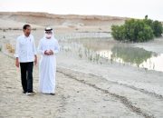 Presiden Jokowi Tanam Mangrove di Abu Dhabi