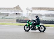 Presiden Jokowi Tanam Pohon Kayu Putih di NTB