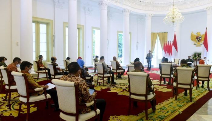 Presiden Dorong PLN dan Pertamina Siapkan Transisi Energi