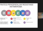 Resistensi Antimikroba Ancaman Kesehatan Paling Mendesak, Strategi One Health Perlu Digencarkan