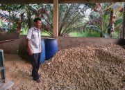 Banyak Manfaatnya, Petani Pasaman Dilatih Pembuatan Kompos Jerami