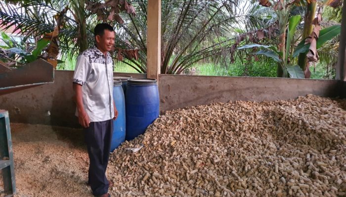 Banyak Manfaatnya, Petani Pasaman Dilatih Pembuatan Kompos Jerami