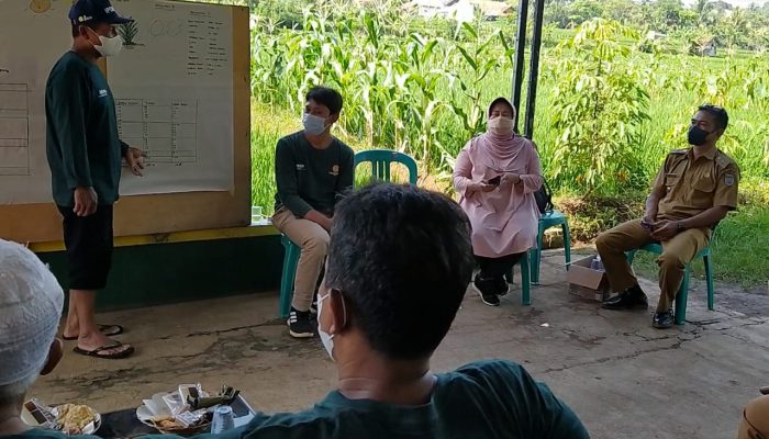 Bangun Pertanian Organik, Kabupaten Ciamis Bidik Petani Milenial Lewat Sekolah Lapangan