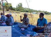 Pelatihan Teknologi Pasca Panen Mudahkan Petani Pasaman, Produktivitas Meningkat