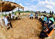 Optimalkan Penyerapan Produksi Dalam Negeri, Pemerintah Jamin Ketersediaan Beras