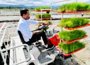 Presiden: Indonesia Tak Impor Beras Selama 2021