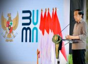 Presiden Jokowi Dorong Penghentian Impor Alkes dan Obat