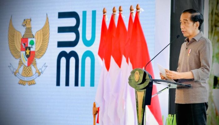 Presiden Jokowi Dorong Penghentian Impor Alkes dan Obat