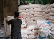 Program SL Petani Pasaman, Petani Dibekali Manajemen Pupuk