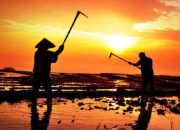 Petani Batangkulu Rasakan Manfaat Pelatihan Literasi dan Edukasi Keuangan