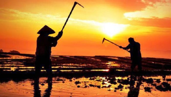 Petani Batangkulu Rasakan Manfaat Pelatihan Literasi dan Edukasi Keuangan