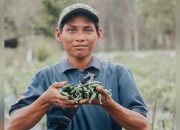 Luar Biasa, Milenial Martapura Sukses Kembangkan Budidaya Cabai