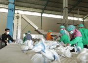 Stok Aman! BKP Sebut Harga Beras Stabil