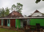 BPBD Kaji Cepat Dampak Angin Kencang di Gunungkidul