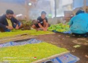 Punya Nilai Ekonomi Tinggi dan Siap Ekspor, Kementan Maksimalkan Talas Beneng