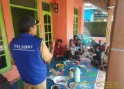 Genjot produktivitas, Kementan Kenalkan Pertanian Cerdas Iklim