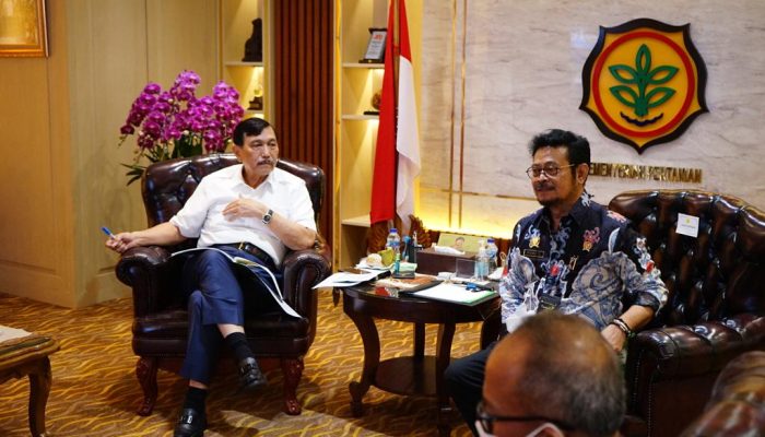 Menko Marves Pastikan Food Estate Sumba Tengah Berhasil