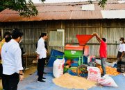 Kawal Food Estate NTT, Kementan Tingkatkan Kapasitas Penyuluh