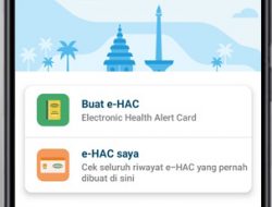 E-hac Jadi Syarat Mudik Naik Pesawat, Berikut Panduan Mengisinya