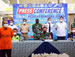 Penyelundupan Benih Lobster Senilai Rp3 Miliar Berhasil Digagalkan