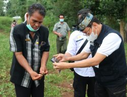 Atasi Hama Belalang di Sumba, Kepala BPPSDMP ajak Petani Milenial Manfaatkan Peluang