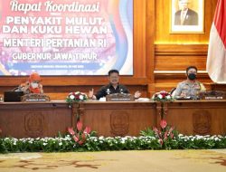 Mentan Tegaskan PMK Tidak Menular ke Manusia
