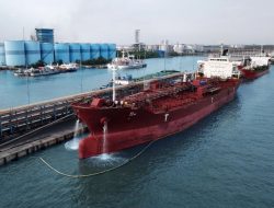 Berikut Harga Referensi CPO dan Biji Kakao Periode Mei 2022