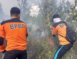 Kebakaran Lahan di Sukamara, Tim Gabungan Terjun ke TKP
